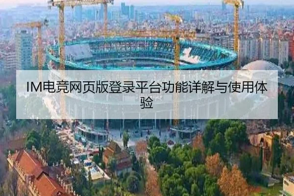 IM电竞网页版登录平台功能详解与使用体验