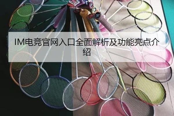 IM电竞官网入口全面解析及功能亮点介绍