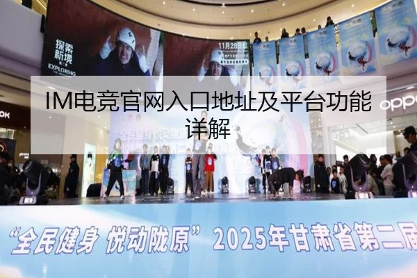IM电竞官网入口地址及平台功能详解