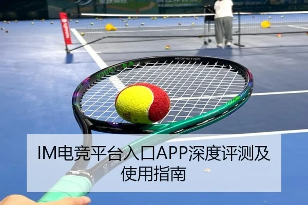IM电竞平台入口APP深度评测及使用指南