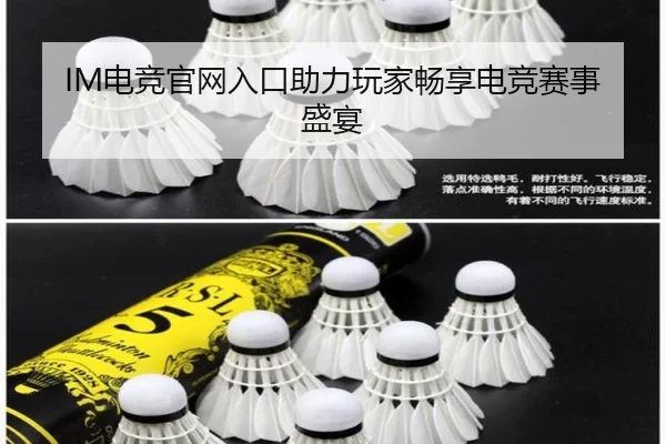 IM电竞官网入口助力玩家畅享电竞赛事盛宴