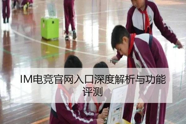 IM电竞官网入口深度解析与功能评测