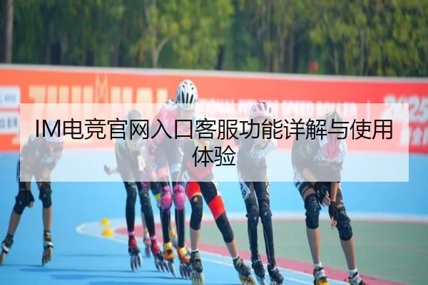 IM电竞官网入口客服功能详解与使用体验