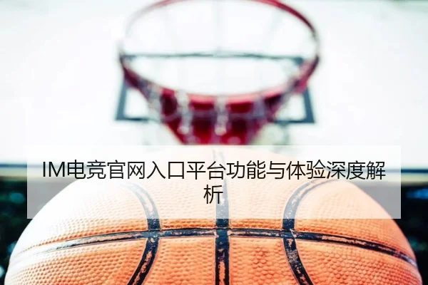 IM电竞官网入口平台功能与体验深度解析