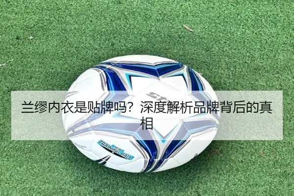兰缪内衣是贴牌吗？深度解析品牌背后的真相